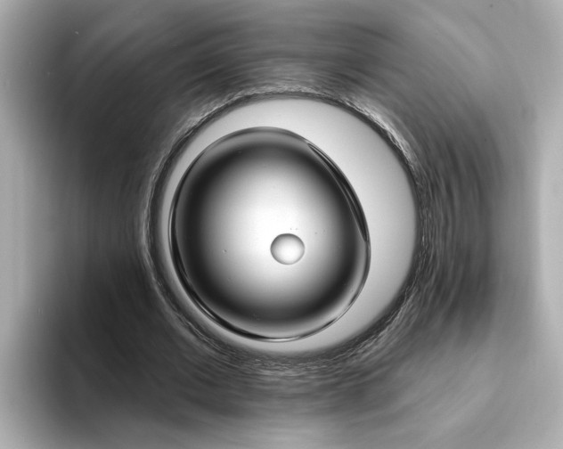 X0000095130677200712211330