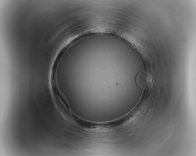 X0000095130678200712211330