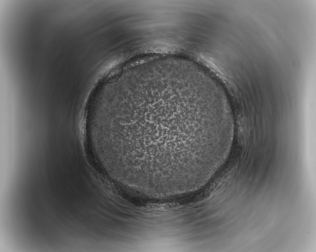 X0000095130679200712211330