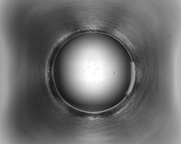 X0000095130680200712211330