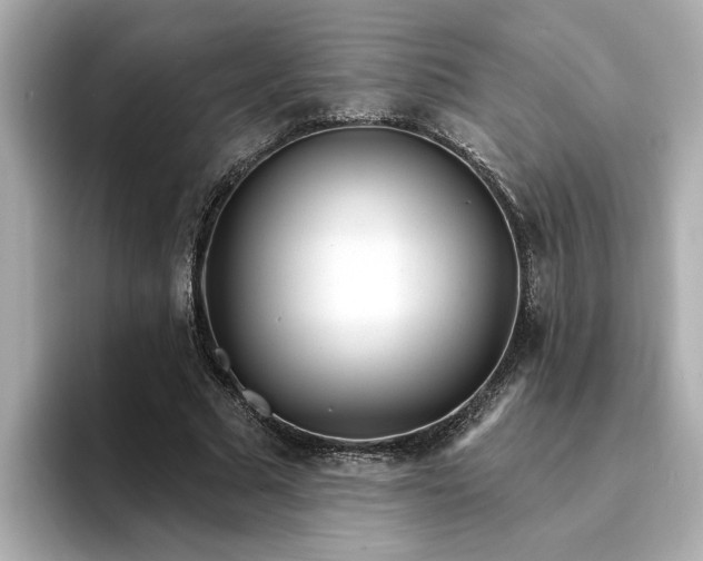 X0000095130681200712211330