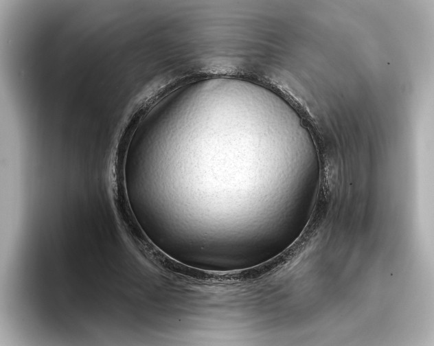 X0000095130682200712211330