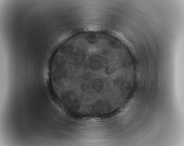 X0000095130683200712211330