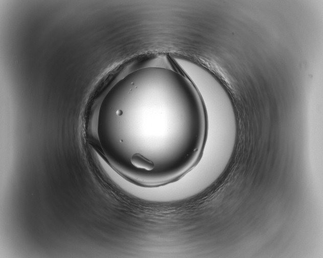 X0000095130684200712211330