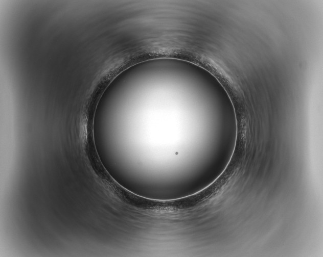 X0000095130685200712211330