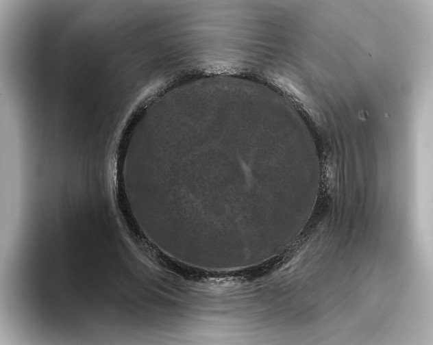 X0000095130686200712211330