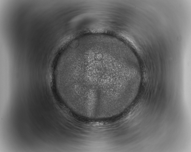 X0000095130687200712211330