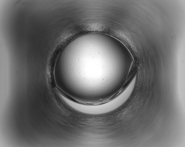 X0000095130688200712211330