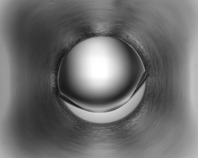 X0000095130689200712211330