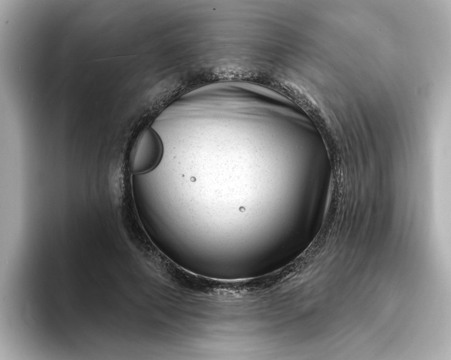 X0000095130690200712211330