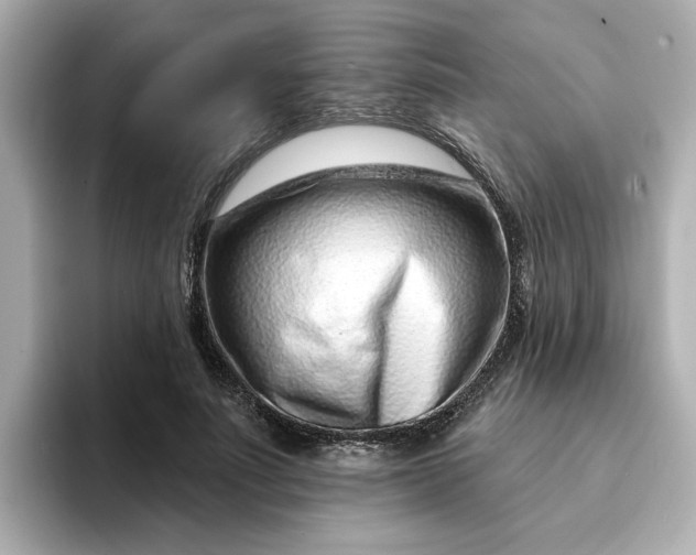 X0000095130691200712211330