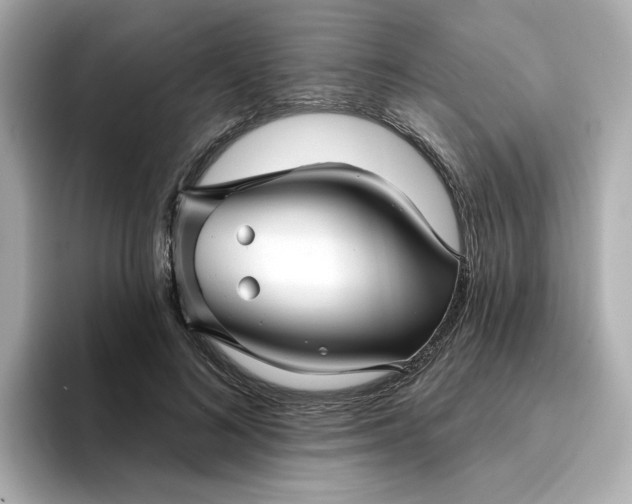 X0000095130692200712211330