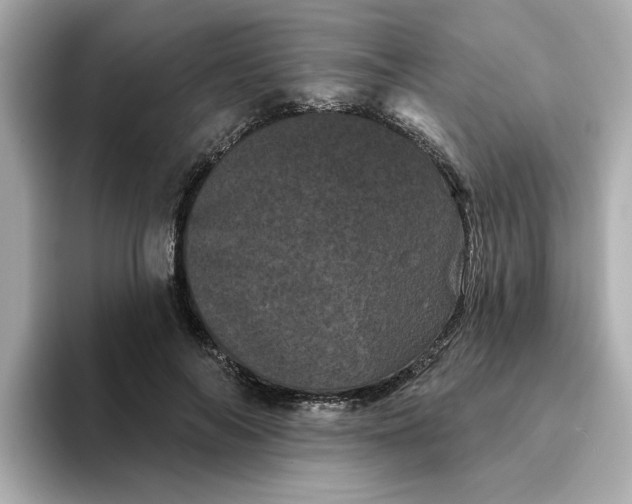 X0000095130694200712211330