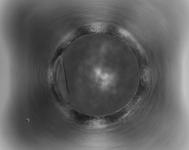 X0000095130696200712211330