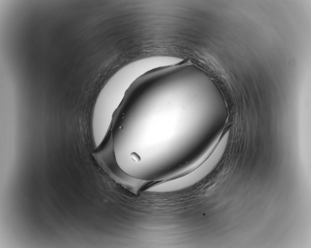 X0000095130697200712211330