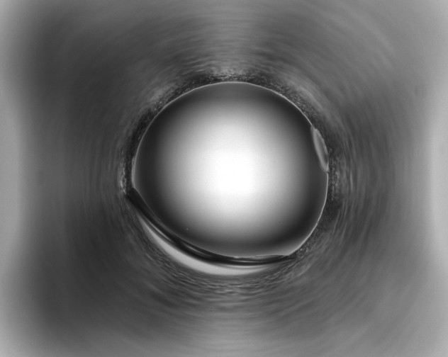 X0000095130700200712211330