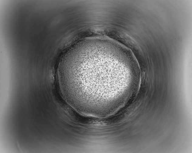 X0000095130702200712211330