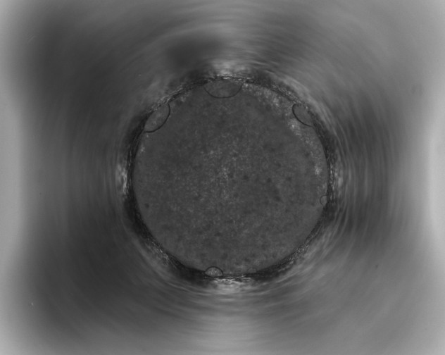 X0000095130703200712211330