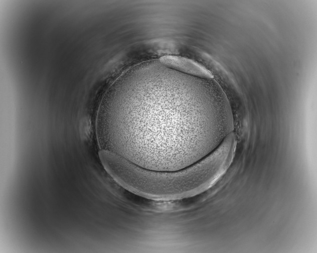 X0000095130704200712211330