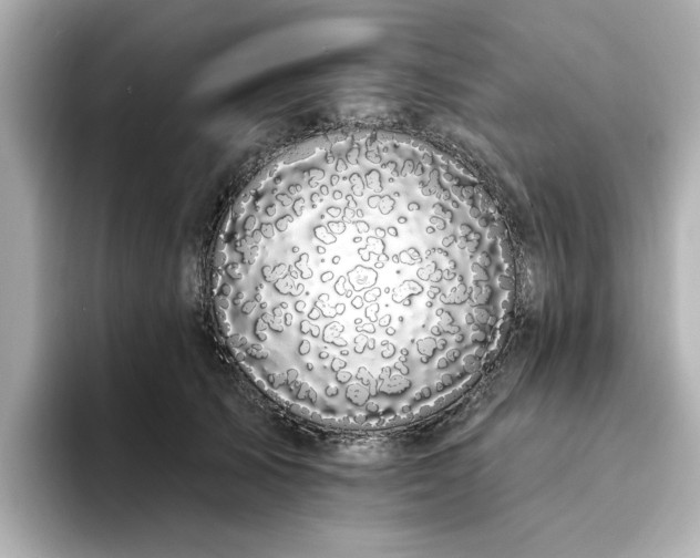 X0000095130705200712211330