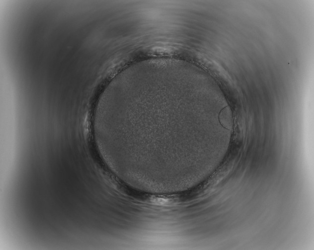 X0000095130706200712211330