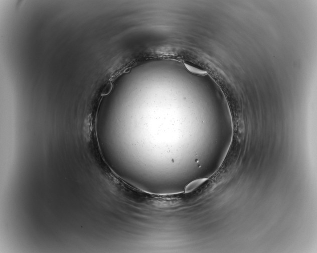 X0000095130707200712211330