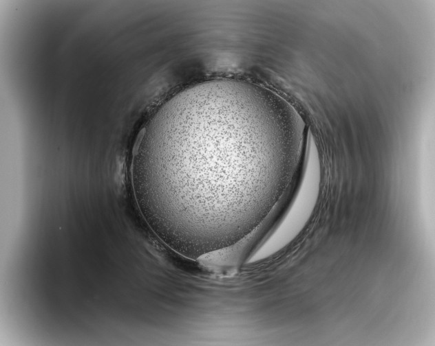 X0000095130708200712211330