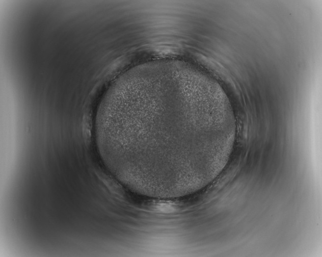 X0000095130710200712211330