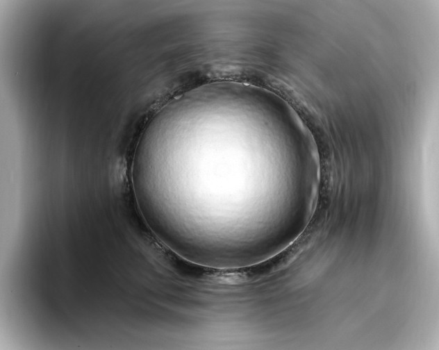 X0000095130711200712211330