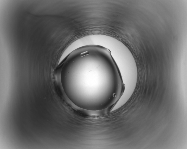 X0000095130712200712211330