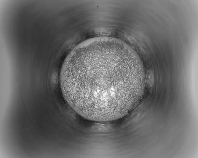 X0000095130713200712211330