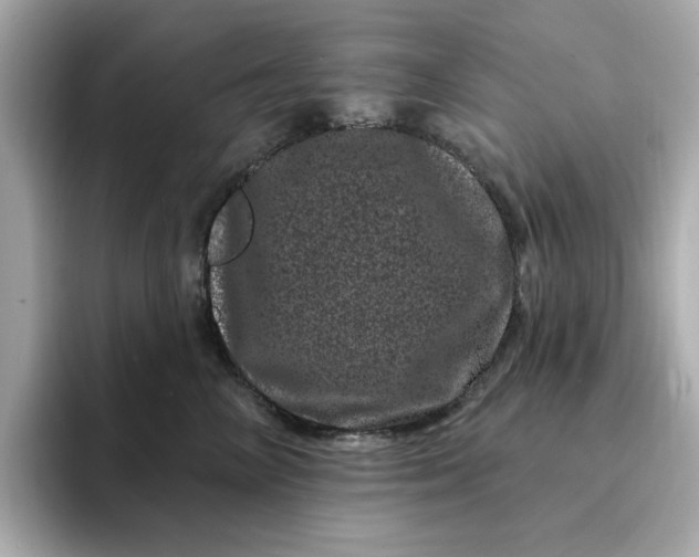 X0000095130714200712211330