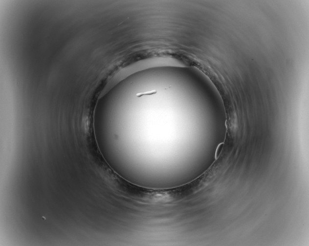 X0000095130715200712211330