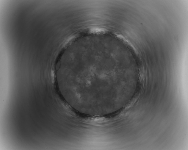 X0000095130716200712211330