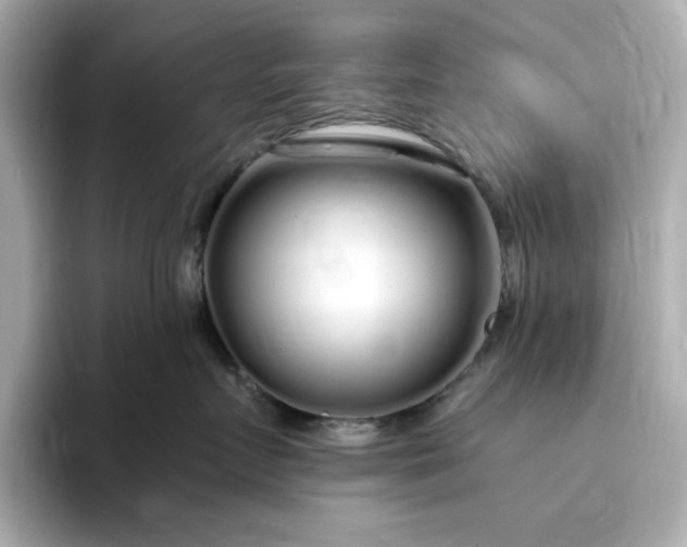 X0000095130719200712211330