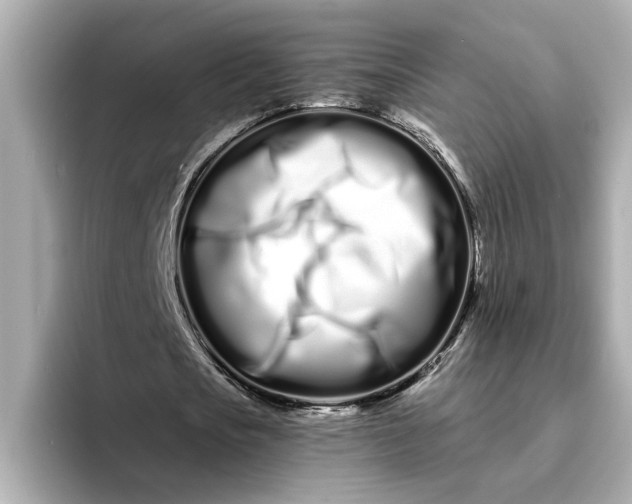 X0000095130721200712211329