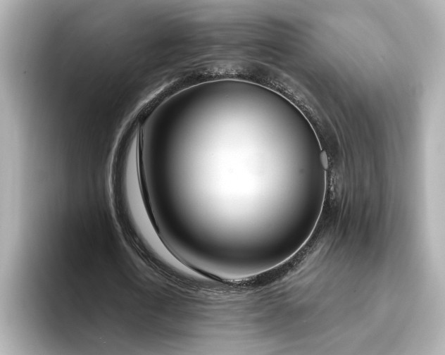 X0000095130722200712211329