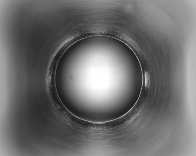 X0000095130723200712211329