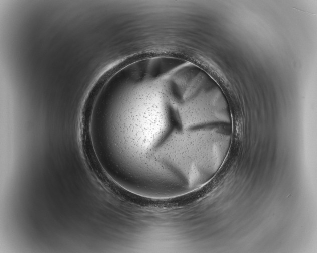 X0000095130724200712211329