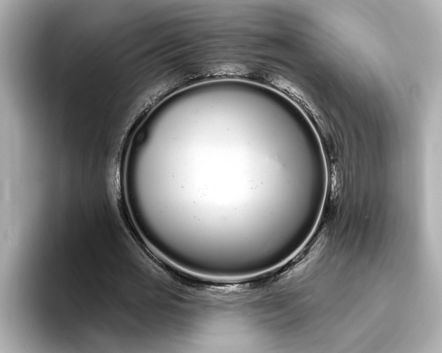 X0000095130725200712211329