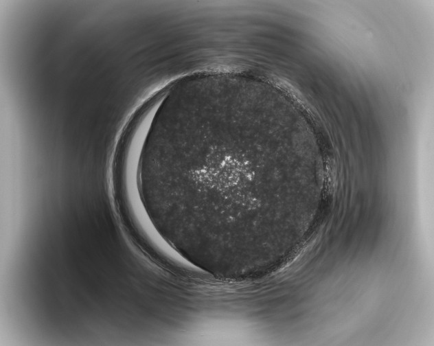 X0000095130726200712211329