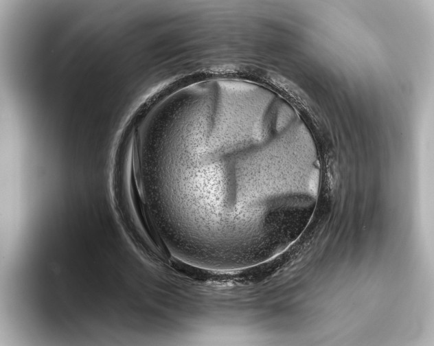 X0000095130728200712211329