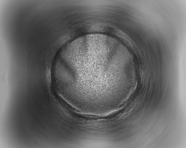 X0000095130729200712211329