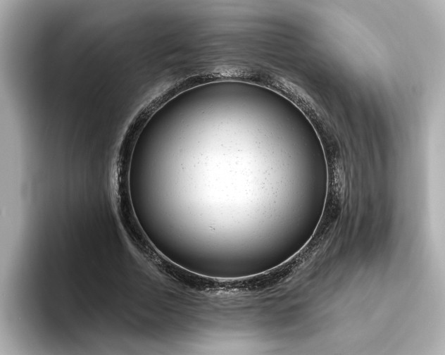 X0000095130730200712211329