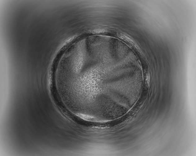 X0000095130732200712211329