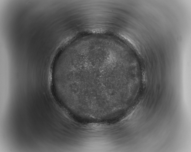 X0000095130733200712211329