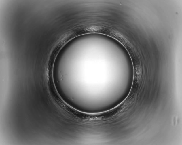 X0000095130734200712211329