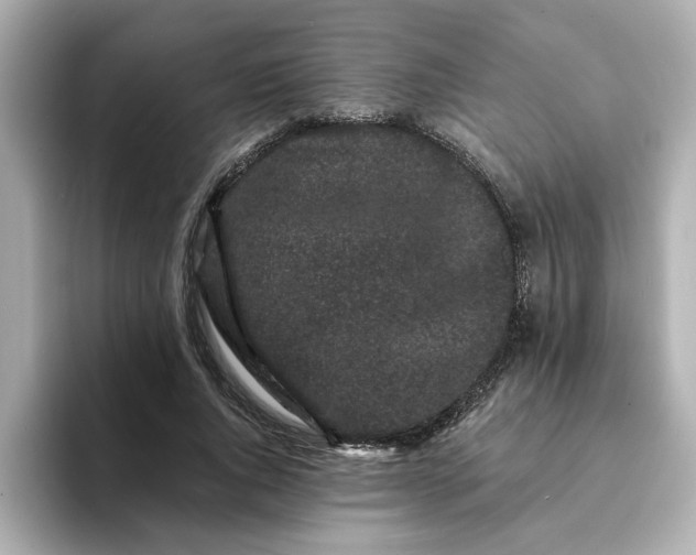 X0000095130736200712211329