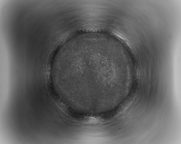 X0000095130737200712211329