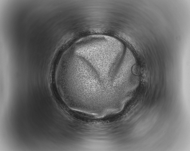 X0000095130738200712211329